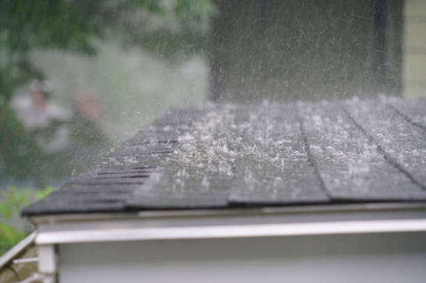 Roof Insulation in Cannon Falls, MN